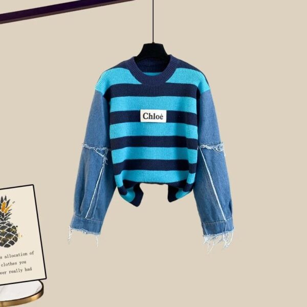Denim Sleeves Ch Sweaters