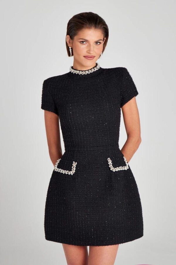 Elegant Tweed Embellished Dress - Image 3