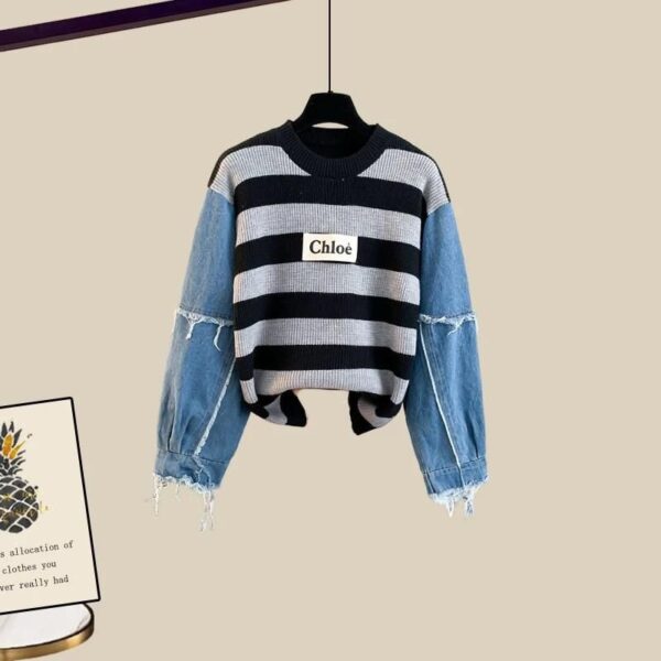 Denim Sleeves Ch Sweaters - Image 4