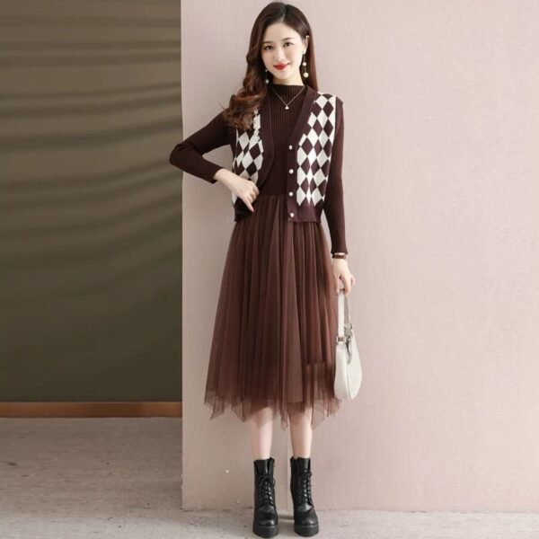 Beaded Knitted Vest and Mesh Frock Dress