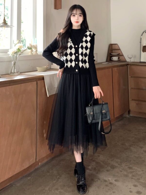 Beaded Knitted Vest and Mesh Frock Dress - Image 4