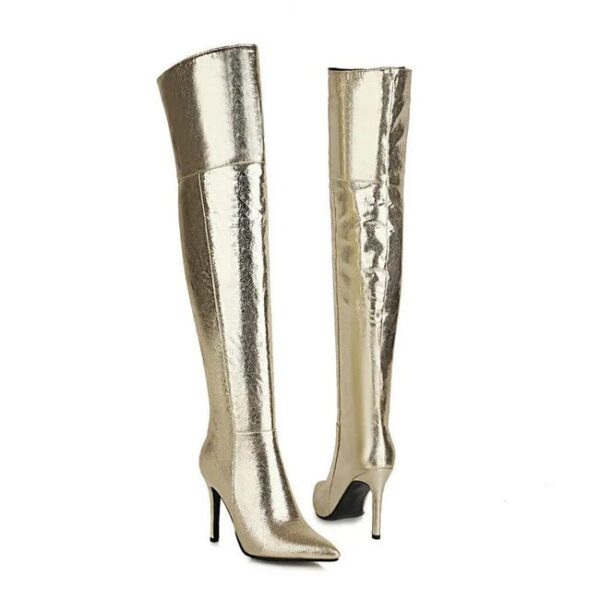 Pointed Toe Zipper Knee Long Boots  On Pre-book - Image 5