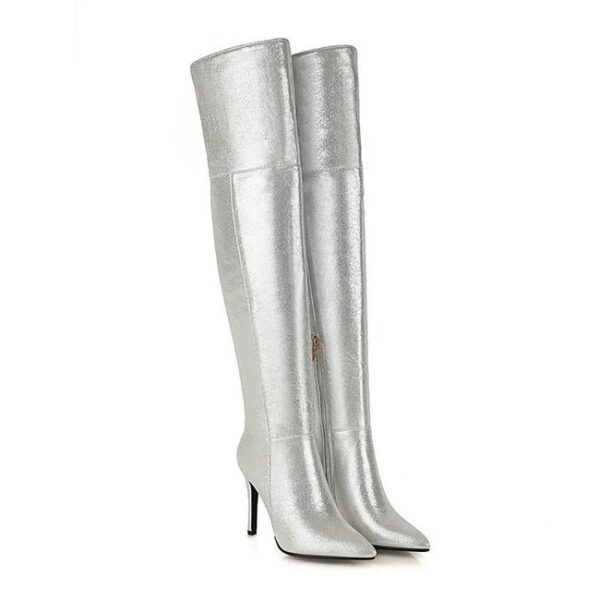Pointed Toe Zipper Knee Long Boots  On Pre-book - Image 3